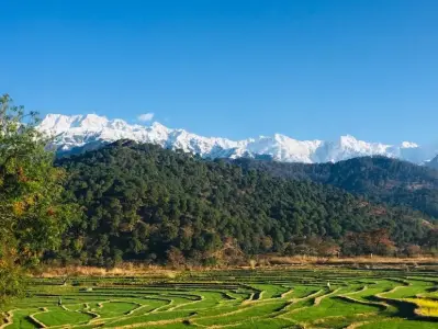 Trek Goechela-  Au pied du Kanchenjunga
