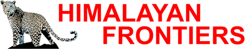 Logo du site