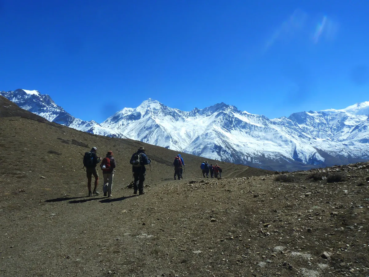 Mustang Trek